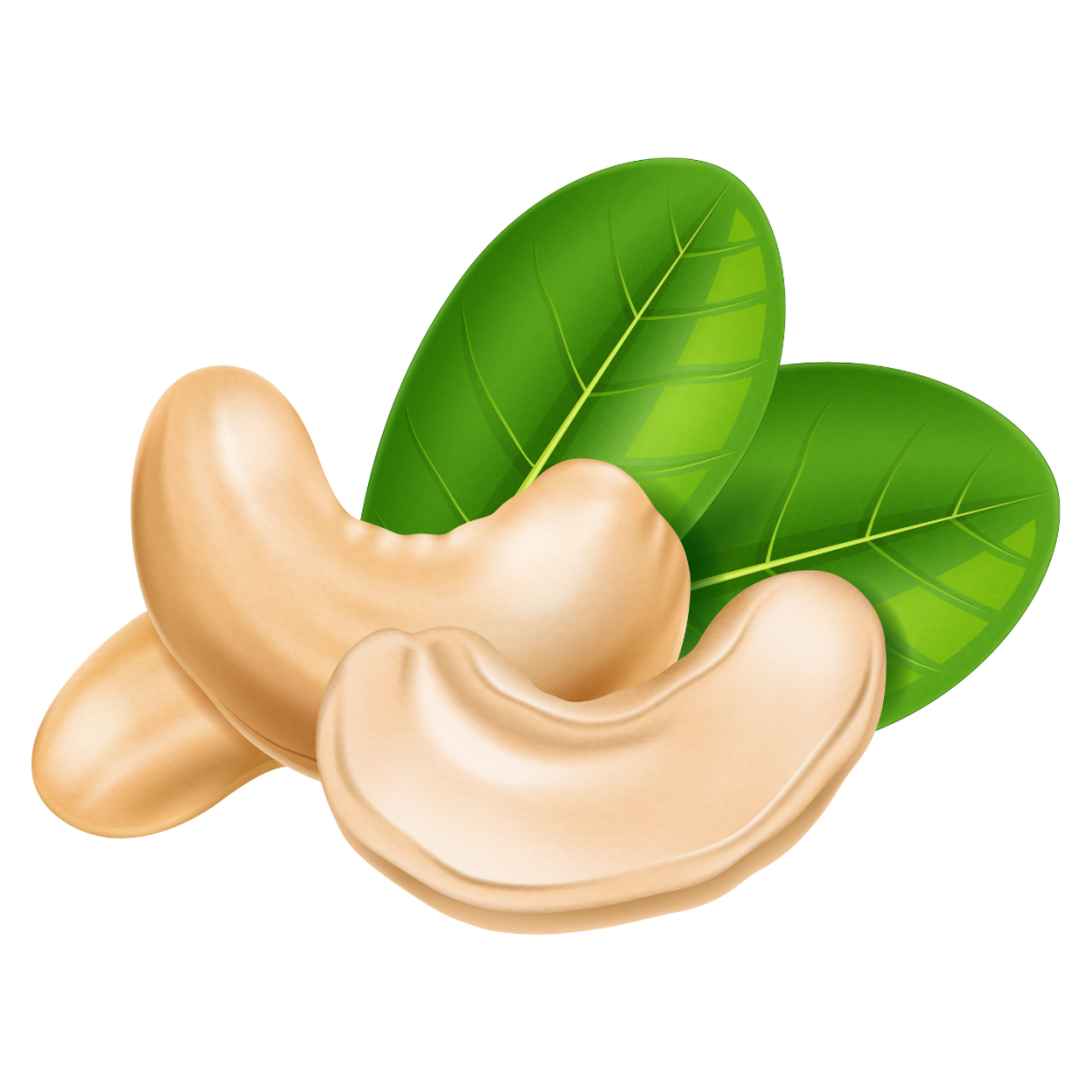 Sri Lanka Cashew, Spices, Herbal Tea & food Serendib Online Shop