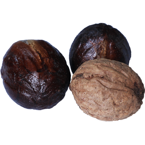 Nutmeg Sri Lanka