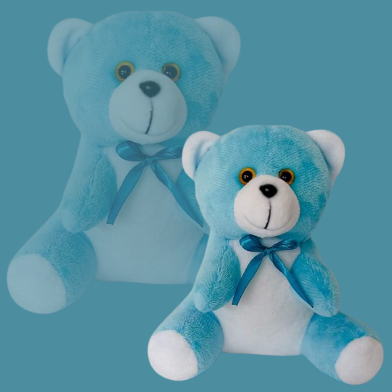 Blue Color Teddy Bear Sri Lanka Soft toy