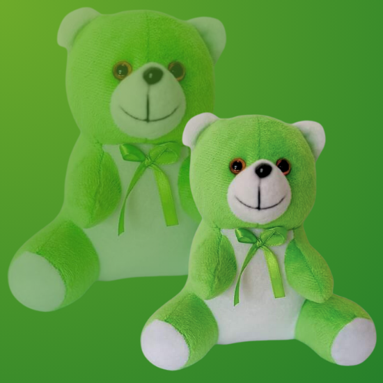 Green Color Teddy Bear Sri Lanka Soft Toy Sri Lanka