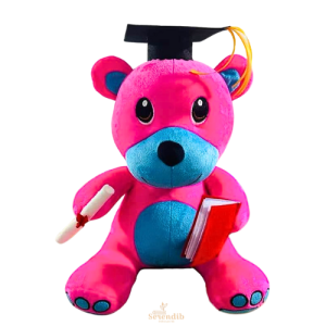 Graduation Teddy Bear Sri Lanka