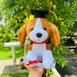 Graduation dog Soft Toy