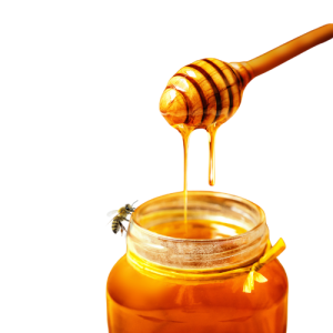 Pure Bee Honey Sri Lanka 200g